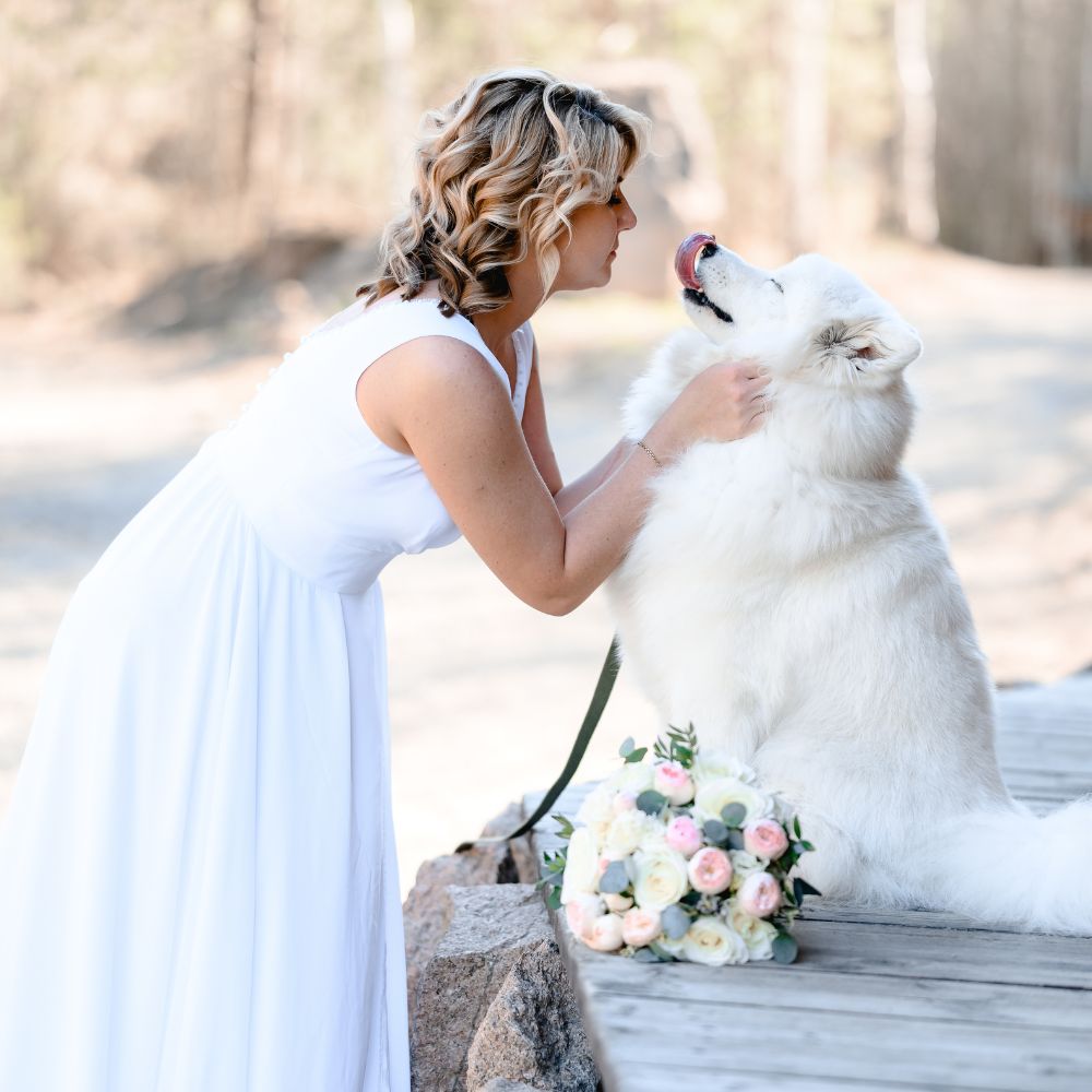 Wedding pet services