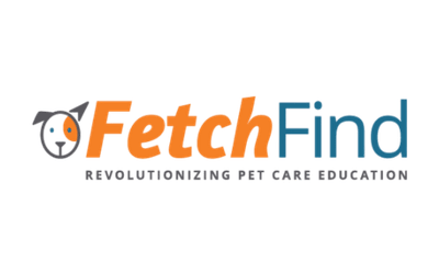 fetch find training