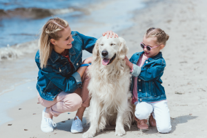 Day in the Life of a Pet Sitter, Dog Walker and Mom in College Station Texas