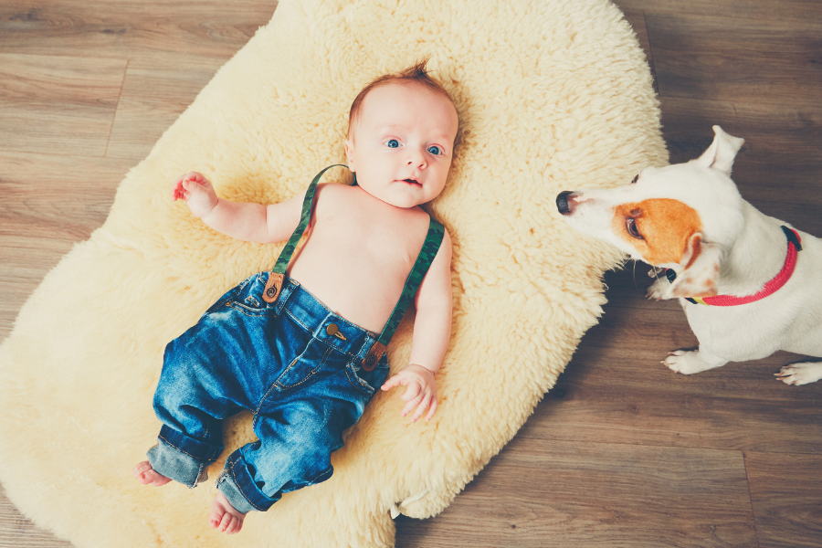 Introducing Your Newborn to the Family Dog: A Guide for BCS Pet Parents